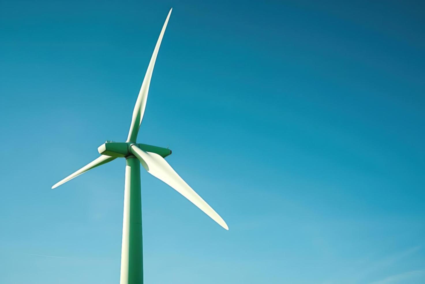 Student reviewing course materials